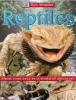 Reptiles by Holland, Simon