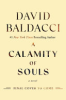 A calamity of souls ( by Baldacci, David