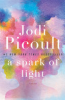 A spark of light by Picoult, Jodi
