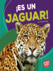 ¡Es un jaguar! (It's a Jaguar!) by Kenan, Tessa