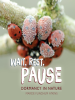 Wait, Rest, Pause by Atkins, Marcie Flinchum