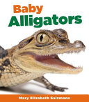 Baby_alligators