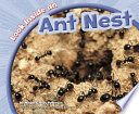 Look inside an ant nest by Peterson, Megan Cooley