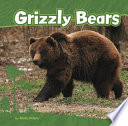 Grizzly bears by Kolpin, Molly