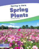 Spring_plants