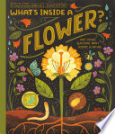 What's Inside a Flower? by Ignotofsky, Rachel