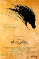 The black stallion by Farley, Walter