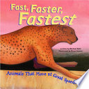 Fast__faster__fastest