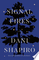 Signal fires by Shapiro, Dani