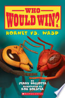 Hornet_Vs__Wasp