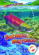 Salmon_migration