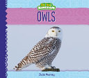 Owls by Murray, Julie