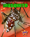 The_mosquito