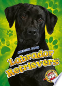 Labrador retrievers by Bowman, Chris