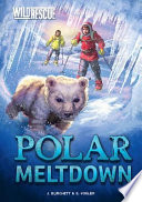 Polar_meltdown