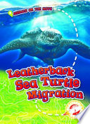 Leatherback_sea_turtle_migration