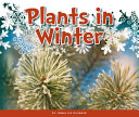 Plants_in_winter