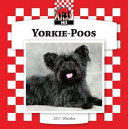 Yorkie-poos by Wheeler, Jill C