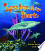 Spectacular_sharks