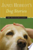 Dog_stories
